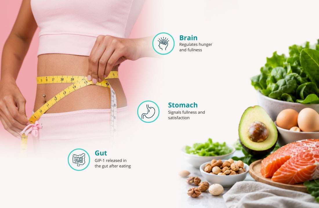 GLP-1 hormone and appetite control for weight management